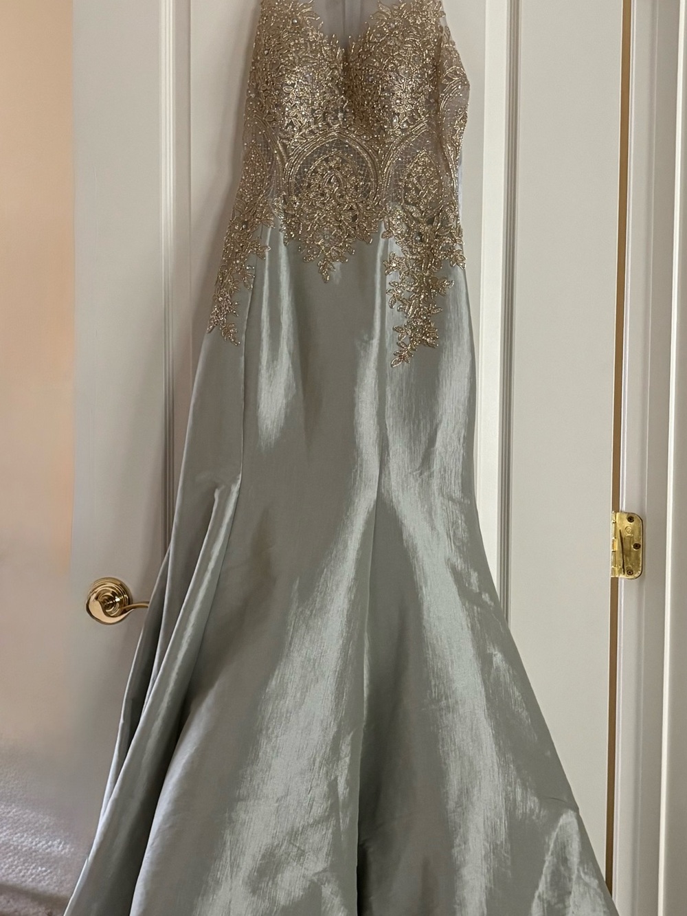 Stunning & Elegant Silver/Gray Evening Gown with Gold Embellished Bodice